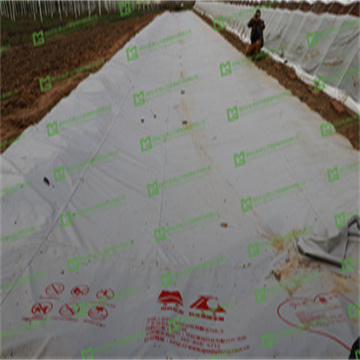 WpZxSJIAxjYXeAJ4qG4K