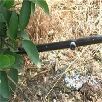 Y2gCLYyq4pxNPkmdBXiF