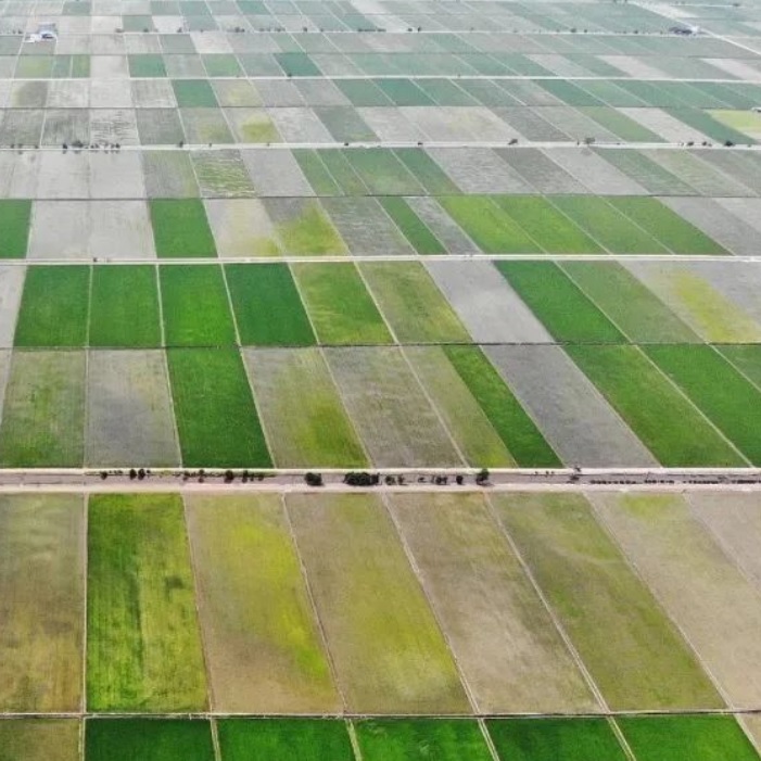 YeYcnNKcgJ8Ddgctjarw