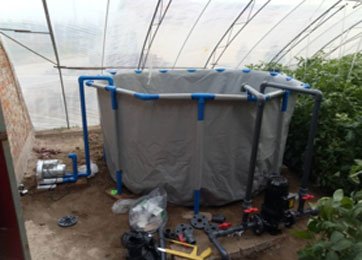 bRfMZC5o9kX2BEK6EJ59