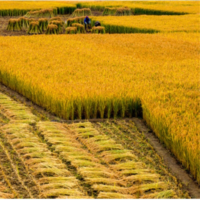 bbnJCXn8qGrok2iSvuGo