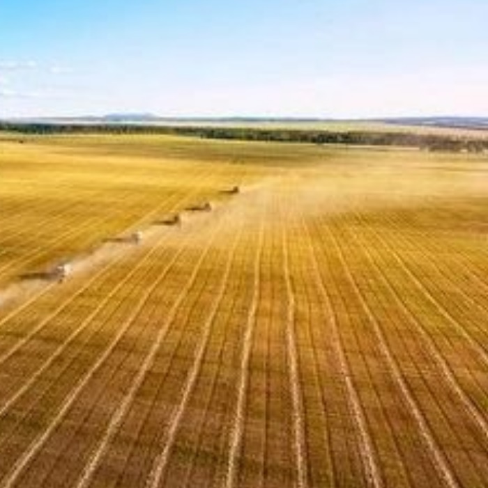 bl0i6MytVRLFNMf3CwGC