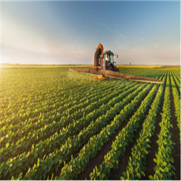 eFbgIlZOZF0I6StKmnAH