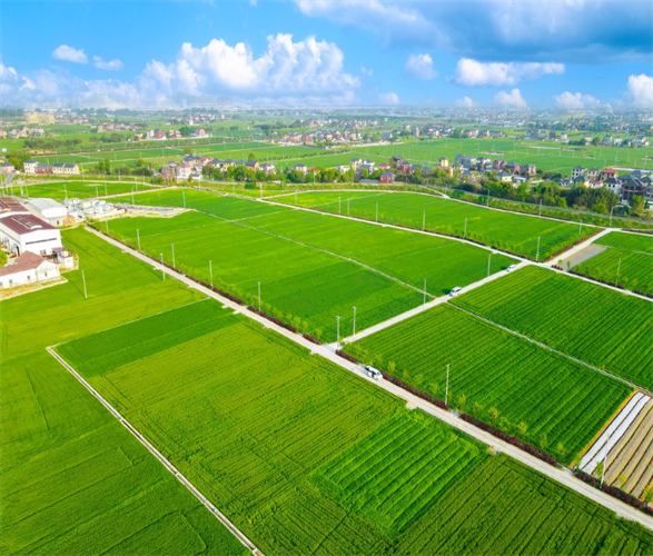 fKLofe7lwoAK4O24Y7hN