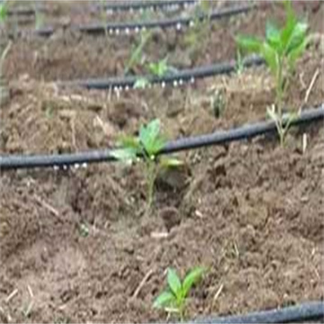 fiLJu5RRre1HT1IItFpn