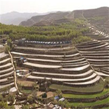 g86PUWTbImOGKidDUCs1