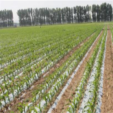 gyl57wwvCEL6iPzMGdHG