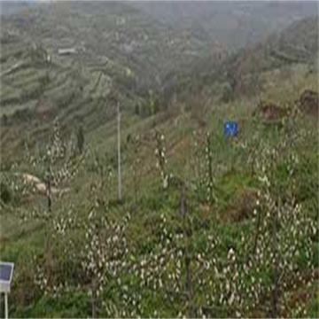 h6P8cRSYNZF6f4mz4lXM