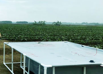 ivUNpPxSwrxtwXCNfL8S