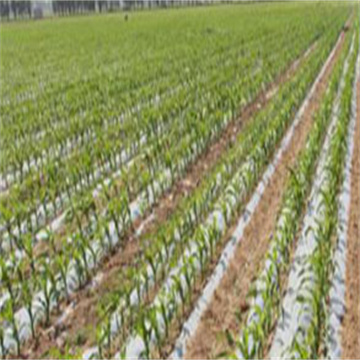 jNtfIyO0MX30WQGohcyz