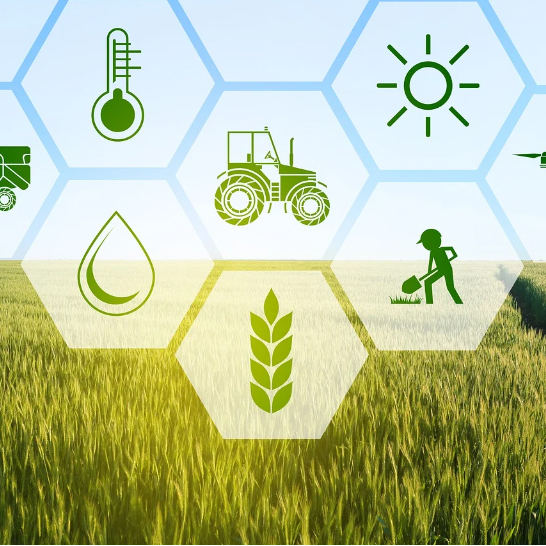 lV53LmegsNac0BexEuZr