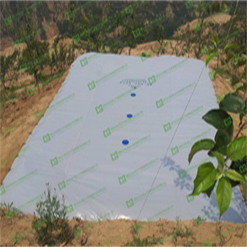 mCh1aWkG9DXvhPPyViY7