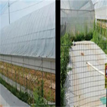 mFijXlGPXh4ltbkwBCsX