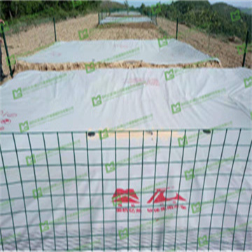 mTMfQkgB9WYiGh4FF6dl