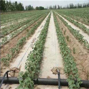 pC2vWcb55eQnfqhQC9oc