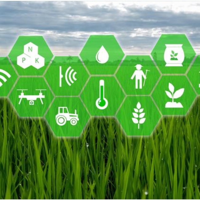 pDWsmnJR93RCSW8wopKn