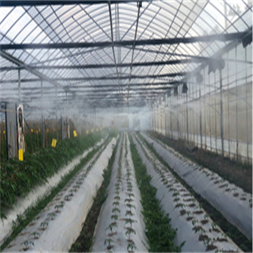 pkjT3cinTINgEjAutB4u