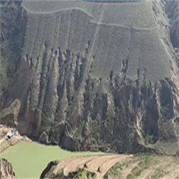 sFX247L7StZUqO7roPSc