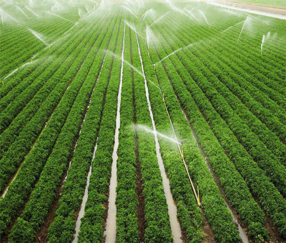 sp4lMwq4NASTqzteWjf5