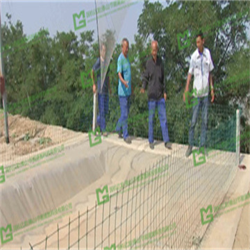 t8Zbgn1rgPhYbXAdXM4M