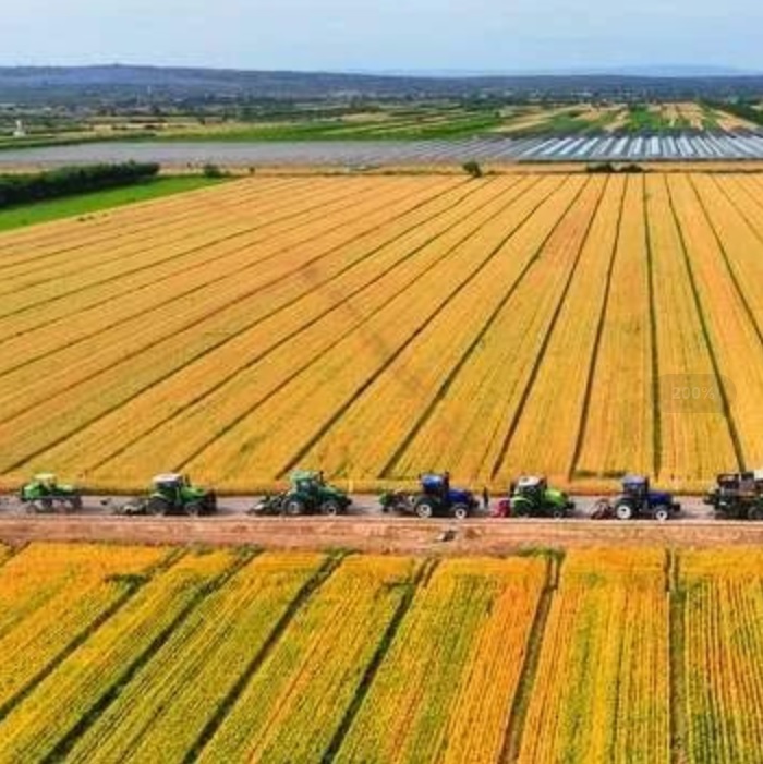 taEVBB2rH1pXLpI4Dy5s