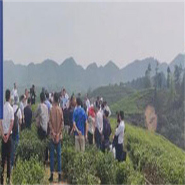 uXaLyp0Vla8QU6lu4cp7