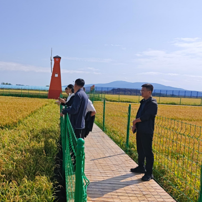 yE9hP5mi41GUx2VOyQ5Q