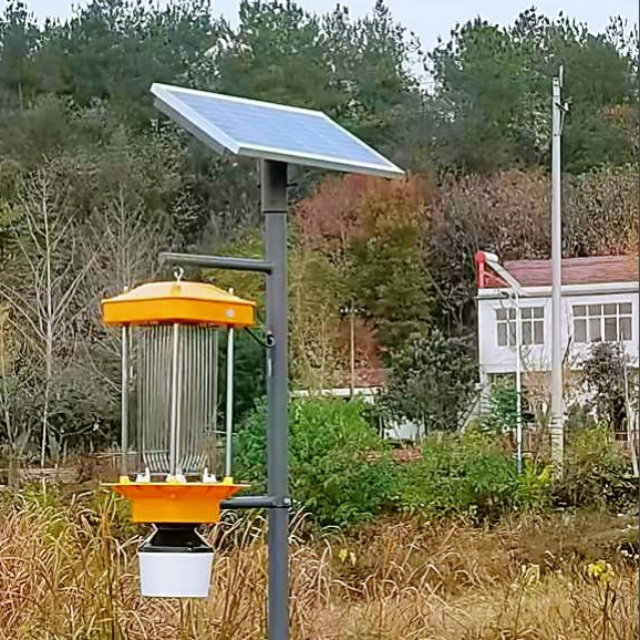 yXczp6kFJX9pFOxomHqp